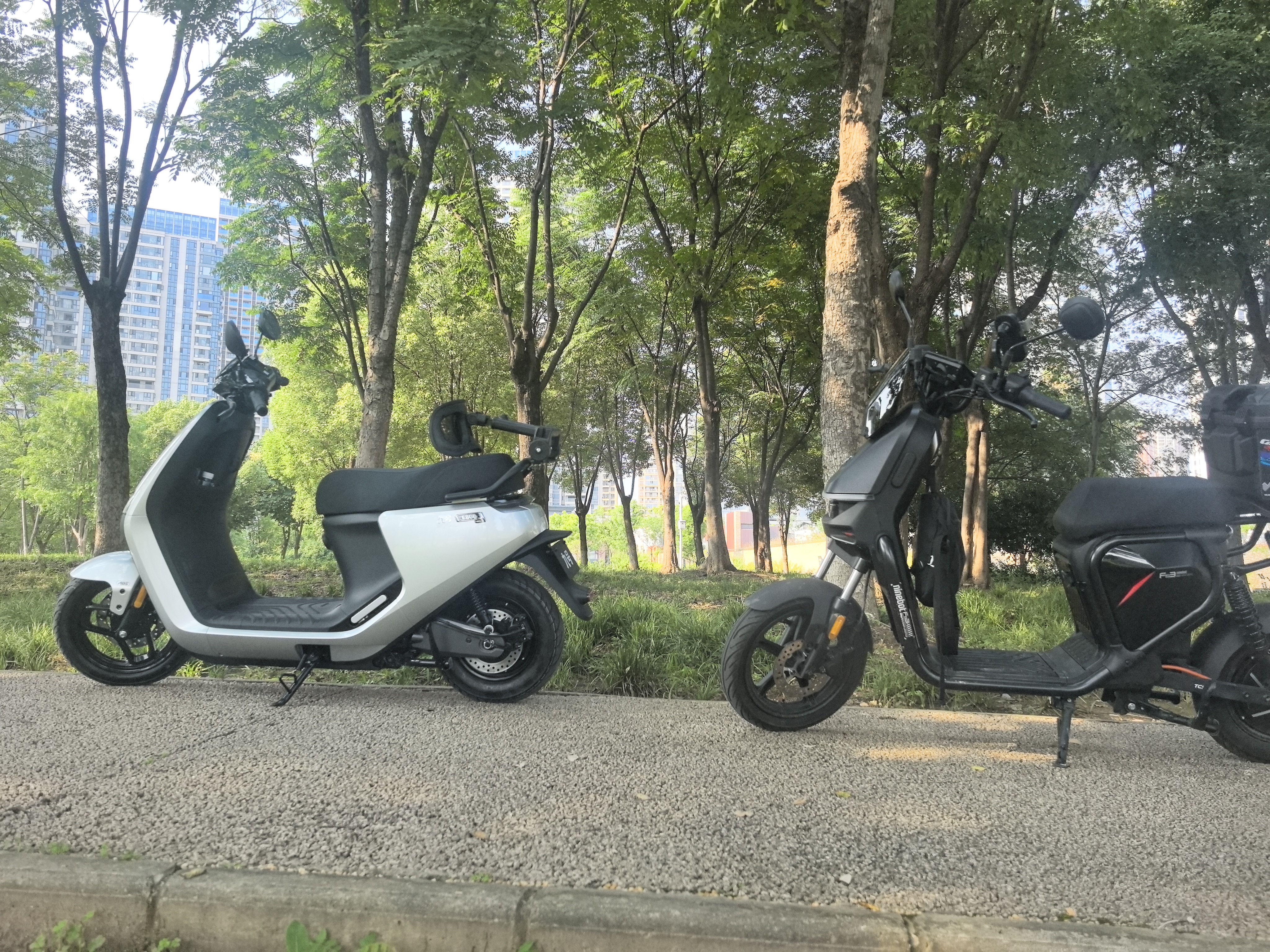 九号（Ninebot）智能电动摩托车E80c MK2全速真续航铅酸【门店自提】 到门店选颜色 实拍图