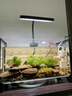 尼奥光（NEO-HELIOS）鱼缸灯水草灯LED灯S3pro+RGB植物光谱 【二代加长款】13wS3pro+加长24厘米 实拍图