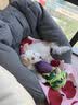 领先全价犬主食罐狗罐头成幼犬湿粮零食狗饭120g*18罐（三种口味） 实拍图