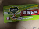 绿叶蟑螂药杀蟑胶饵24枚装杀蛮蠊方便贴灭蟑杀虫剂7106/3 实拍图
