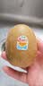 佳沛（zespri）新西兰阳光金奇异果原箱 16粒巨无霸 单果约204-233g   水果礼盒 实拍图