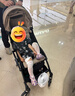 Stokke【立即抢购】YOYO3 6+ 全能型推车折叠遛娃轻便婴儿车可坐可躺 【YOYO3 6+】+卡其色坐垫 黑色车架 实拍图
