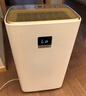 多乐信（DOROSIN）家用除湿机 除湿量30升/天 60㎡ 地下室智能除潮干衣除湿APP智控负离子干燥机ER-630ES 实拍图