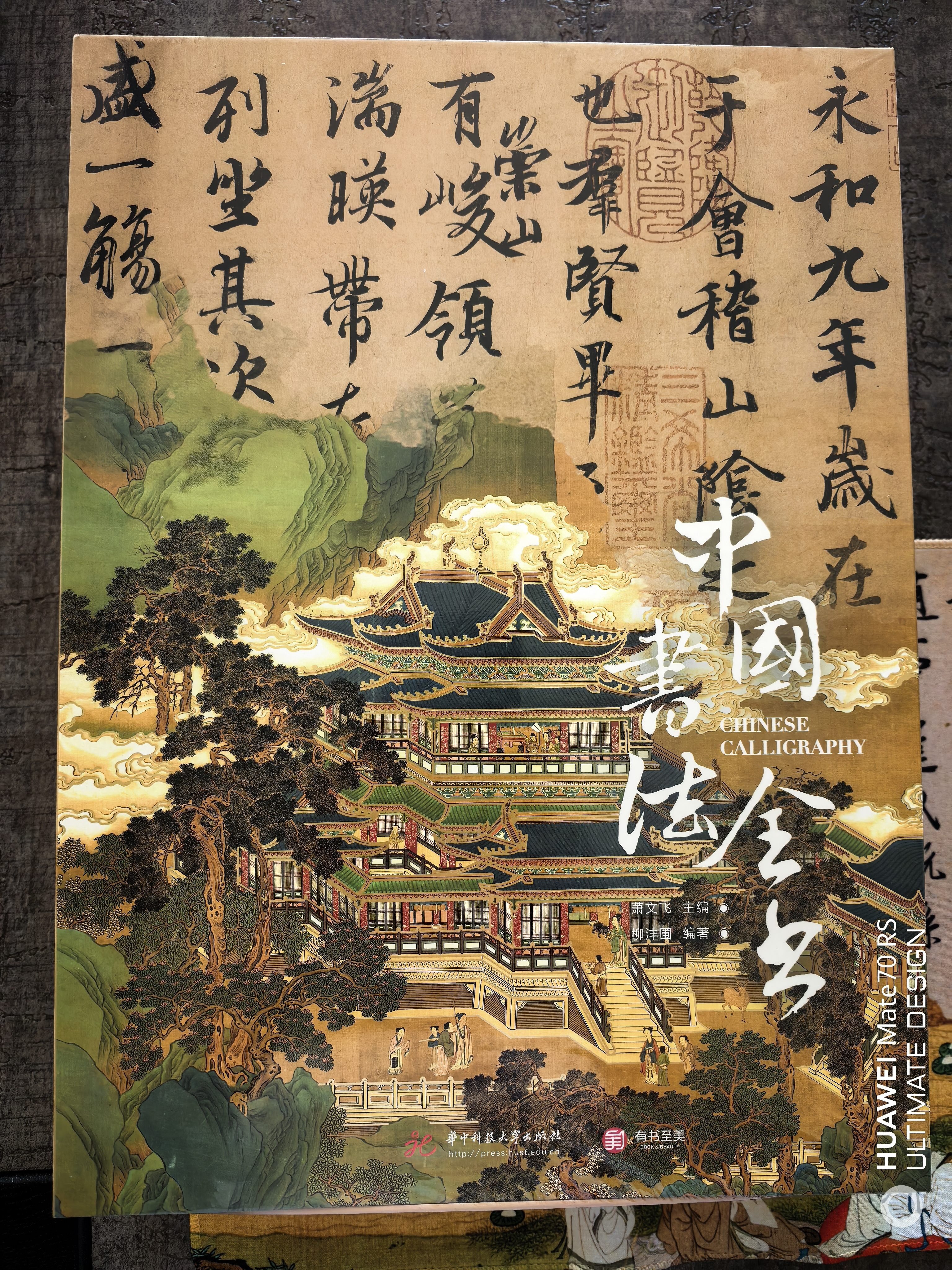 中国书法全书 礼盒珍藏纪念版 文化通识书法收藏大百科全书书法史书法家传记 实拍图