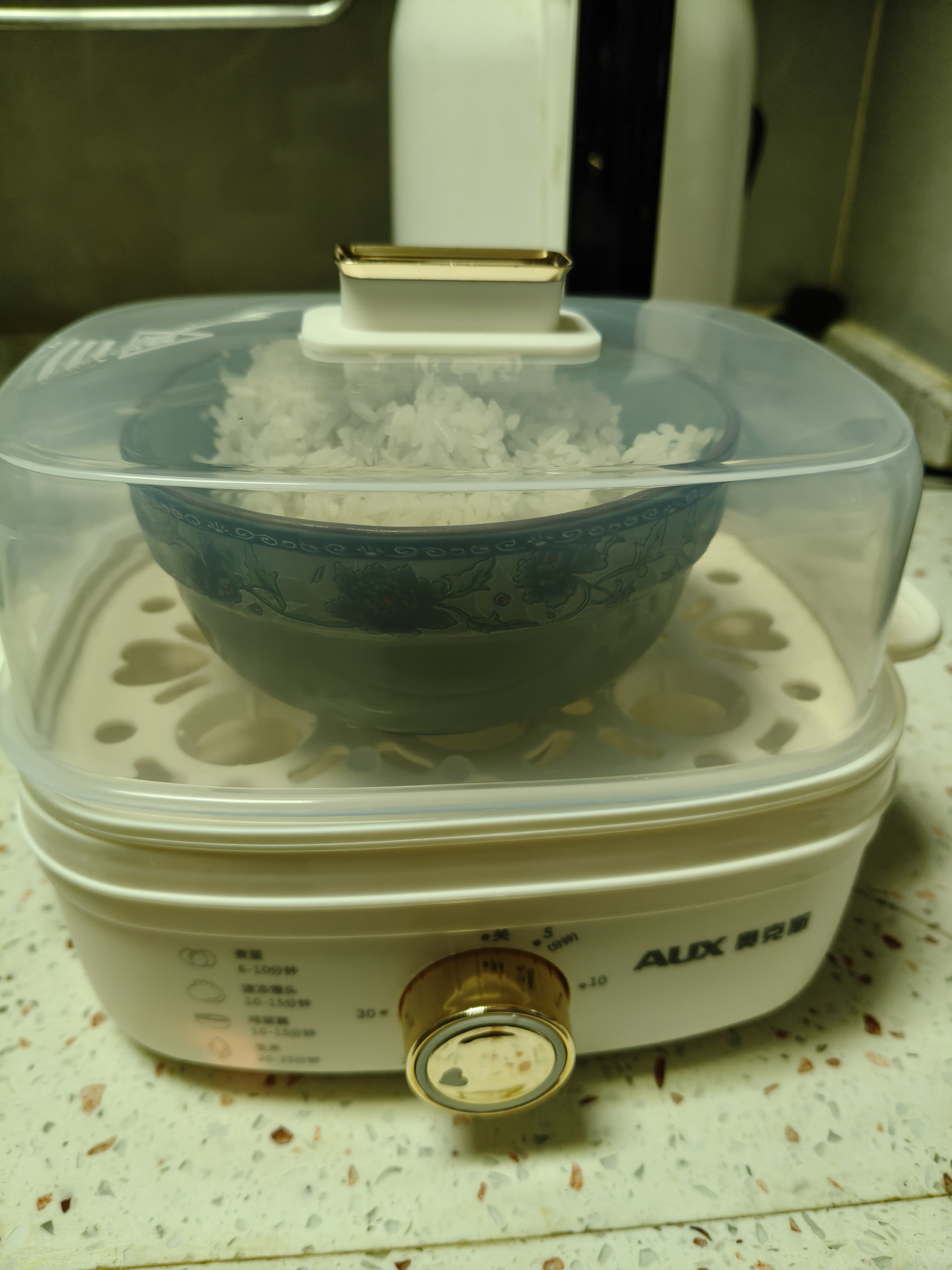 奥克斯（AUX）煮蛋器 蒸蛋器自动断电防干烧电蒸锅 可定时单层小型早餐蒸锅【配蒸碗】AZD-2418AZX-42 实拍图