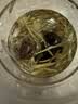 新益号金银花新鲜无熏硫办公室日常清润泡水喝可配菊花枸杞花草茶50g 实拍图