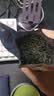 乐品乐茶高山绿茶浓香耐泡高性价比口粮茶特级明前春茶 500g自饮2026新茶 实拍图