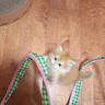 ZEZE春日猫隧道猫玩具自嗨解闷铃铛逗猫棒弹簧猫薄荷躲避猫用品 实拍图