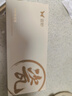 双枪家用陶瓷筷子食品接触级抗菌防霉  可进洗碗机  卡皮巴拉10双装 实拍图