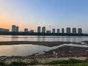 展艺蛋糕纸杯100只 可爱猫咪 空气炸锅烤箱马芬纸杯露营烘焙模具辅食 实拍图