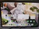 HUAWEI M-Pencil 套装 平板创作笔 华为手写笔 星闪技术超低时延 雪域白 实拍图