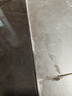 添可极客蒸汽2.0【380℃高温蒸汽源 28KPa吸力】 家用洗地机洗拖吸一体 扫地机器人 洗地拖地一体机 实拍图
