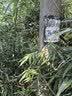 特步（XTEP）跑步鞋男夏季新款轻便减震透气网面黑色运动鞋软底青少年鞋子 【网面透气】黑 43 (270mm) 脚长27cm( 新法码43) 实拍图