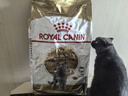 皇家猫粮 英短成猫粮 BS34 通用粮 12月以上 10KG 实拍图