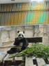 小熊（Bear）全玻璃养生壶 纯玻璃煮茶壶恒温壶 多功能炖煮花茶壶烧水壶 1.5L YSH-H15L2 实拍图