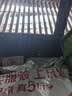 博洋家纺枕头芯可水洗全棉刺绣单人软枕芯低枕单个装 莲仪48*74cm 实拍图