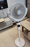 艾美特（AIRMATE）【小暴风PRO】空气循环扇家用大风力摇头电风扇卧室安静轻音小风扇桌面台式节能落地扇电扇 X231 实拍图