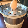 九阳（Joyoung）煮蛋器单双层家用高温断电迷你早餐蒸蛋机炖蛋器便携式电蒸锅 煮鸡蛋神器GE310B 实拍图