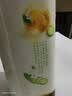 达利园和其正冰糖苦瓜凉茶新中式夏日草本植物凉茶饮料500ml*15瓶整箱装 实拍图