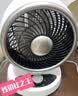 VCJ【德国品牌】空气循环扇电风扇家用台式桌面节能轻音 机械旋钮可摇头3m线 DQ19R 实拍图