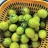 京鲜生 山东正宗青甜2号小番茄净重3斤新鲜蔬菜绿色圣女果水果源头直发 实拍图