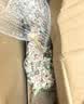 海蒂的花园花叶络石四季常绿好养观叶垂吊植物阳台室内绿植盆栽源头直发包邮 花叶络石14cm 含盆 实拍图