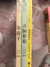 青铜葵花+草房子 曹文轩纯美小说摘选 赠诺奖饥饿的石头（共3册）小学生经典儿童文学名著故事书 课外阅读书籍老师推荐阅读课外书 实拍图