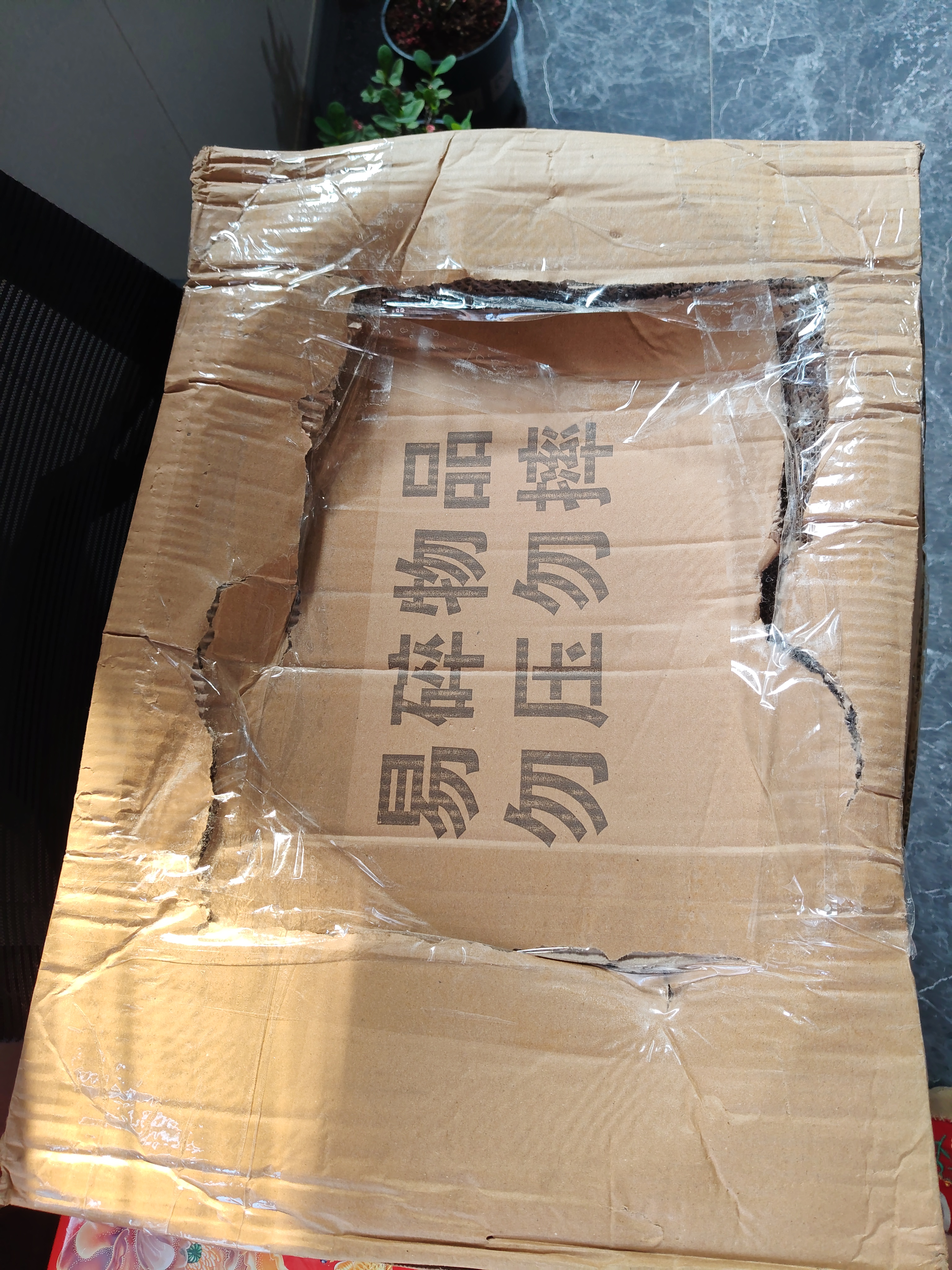 尔木萄（AMORTALS）丁禹兮同款斗转星移气垫粉扑套装美妆粉底扑4枚+支架干湿两用 实拍图