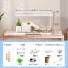 阔庭（KUOTING）乌龟缸桌面透明生态乌龟缸乌客厅水族箱白色 实拍图