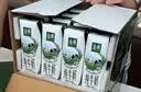 伊利【新鲜日期】金典纯牛奶早餐奶250ml*16盒3.6g乳蛋白 礼盒装 5月 实拍图