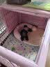 BNBNO夏天猫狗窝小型犬比熊泰迪夏凉窝冰丝凉席垫四季通用降温宠物睡床 实拍图