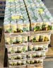 维他奶维他柠檬味茶饮料310ml*24罐 罐装柠檬茶 分享装 实拍图