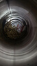 艺福堂茶叶花草茶 金银花特级200g 搭菊花中药材泡水夏季清热养生凉茶 实拍图
