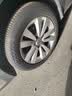 马牌（Continental）汽车轮胎 205/55R16 91V FR CC7 #适配大众 朗逸/别克 凯越 实拍图