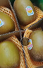 佳沛（zespri）新西兰阳光金奇异果巨大果15粒礼盒 单果146-175g 猕猴桃水果礼盒 实拍图