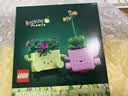 乐高（LEGO）积木 花植系列 11506 摇滚盆栽 花束拼装玩具520礼物 实拍图