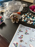 TOP TOY三丽鸥HelloKitty凯蒂猫白金大体积木拼装玩具女生儿童七夕礼物 实拍图