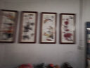 紫腾随轩梅兰竹菊挂画新中式四联壁画中国风四条屏客厅沙发背景墙画装饰画 图4 40*80cm*4红木色实木框 实拍图