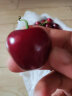 精品国产麒麟大西瓜 甜瓜1粒装  单果约3.5kg  新鲜水果 实拍图