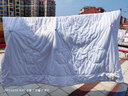 富安娜家纺 棉花被子100%天然纯棉被子秋冬保暖被芯被褥 【100%棉花冬厚被】向日 203cm*229cm 实拍图
