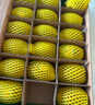 佳沛（zespri）新西兰阳光金奇异果18粒礼盒优选果单果103-124g 猕猴桃水果礼盒 实拍图