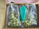 京鲜生 云南秋天脆提子 净重2斤装 葡萄/提子 水果礼盒 源头直发包邮 实拍图