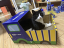 脉动猫薄荷瓶×zeze联动猫窝礼盒600ML*8瓶维C电解质做运动饮料礼盒装 实拍图