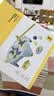 babycare&bctoys敲冰块大冒险儿童对战拯救北极熊男孩女孩桌游 实拍图