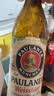 保拉纳（Paulaner）【20万人已购】柏龙 精酿白啤 500ml*20瓶  球赛必备 实拍图