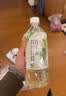 寿全斋冬瓜荷叶薏米水柠檬五指毛桃无糖凉茶饮料大瓶饮料整箱750ml*12瓶 实拍图