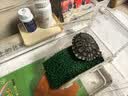鱼缸方形高清透明大口径饲养家用客厅小型造景缸办公室乌龟生态缸 大号 实拍图