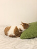 普安特宠物猫咪洗耳液耳螨狗狗滴耳液猫耳朵清洁耳垢臭痒漂护理液尔加分 实拍图