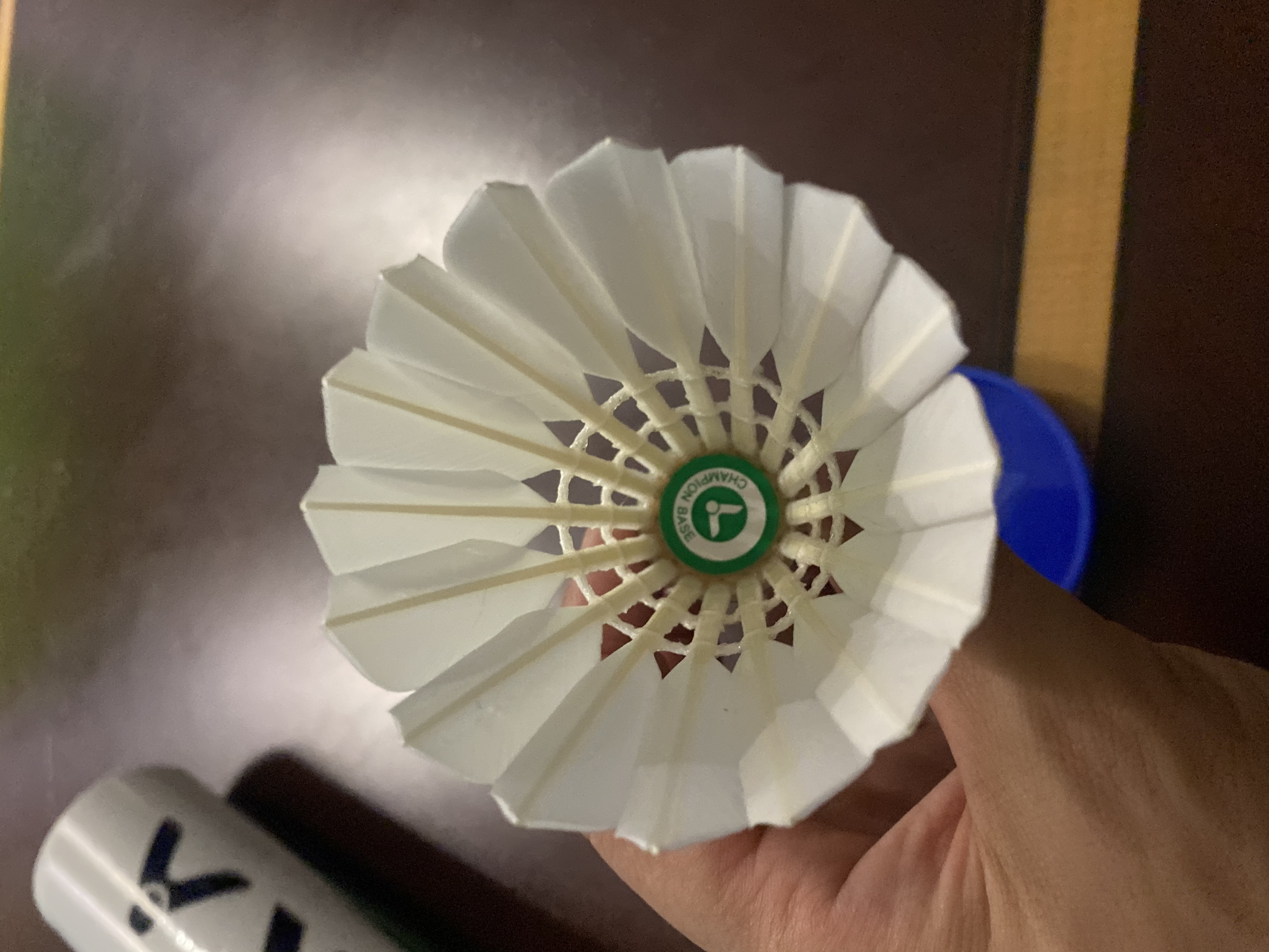 威克多（VICTOR）胜利比赛级羽毛球飞行稳定77速比赛用球比赛-BASE 实拍图