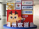 CECILE MAIA脱毛工具（湿巾+刮板）2件套 实拍图